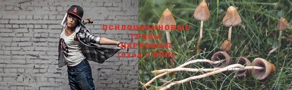трава Билибино