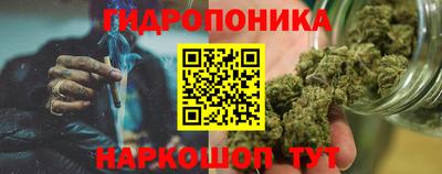 ПСИЛОЦИБИНОВЫЕ ГРИБЫ Аргун