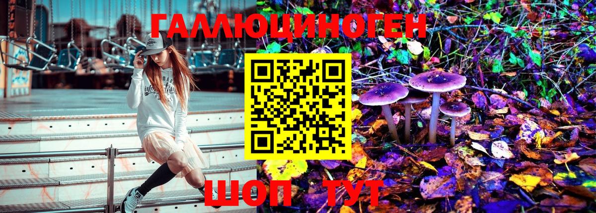 Галлюциногенные грибы Psilocybe  Миллерово  Псилоцибиновые грибы MAGIC MUSHROOMS 